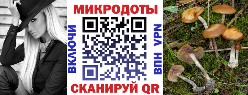 Галлюциногенные грибы MAGIC MUSHROOMS  где можно купить наркотик  Сосенский 